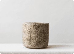 Beige Fracture