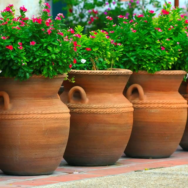 Large Planters Pot