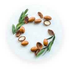 SEEDS